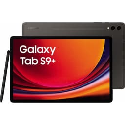Galaxy Tab S9+ 256GB - Gris - WiFi
