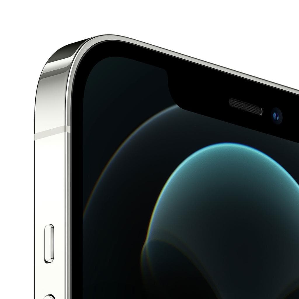 iPhone 12 Pro Max 512 Go - Argent - Débloqué