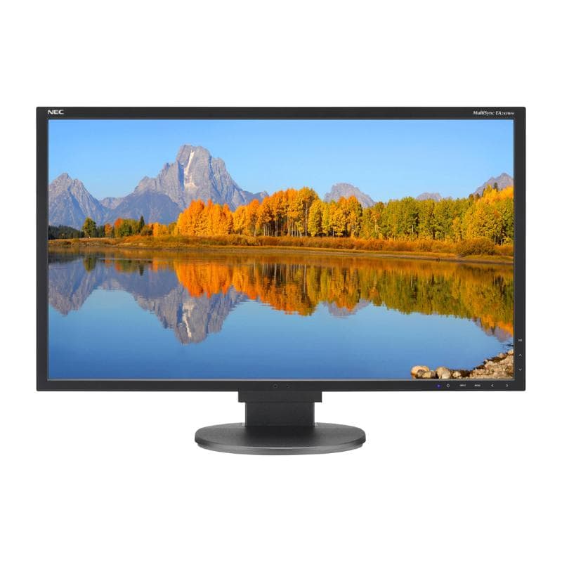 Écran 22" LED Nec MultiSync EA243WM