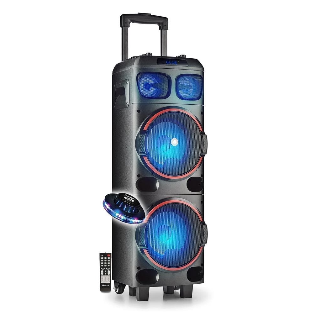 Enceintes sono NGS WILDDUB1