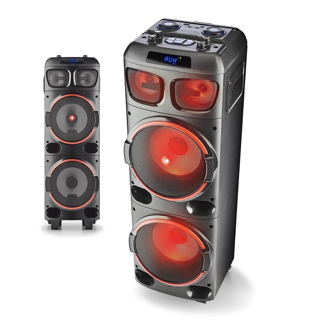 Enceintes sono NGS WILDDUB1