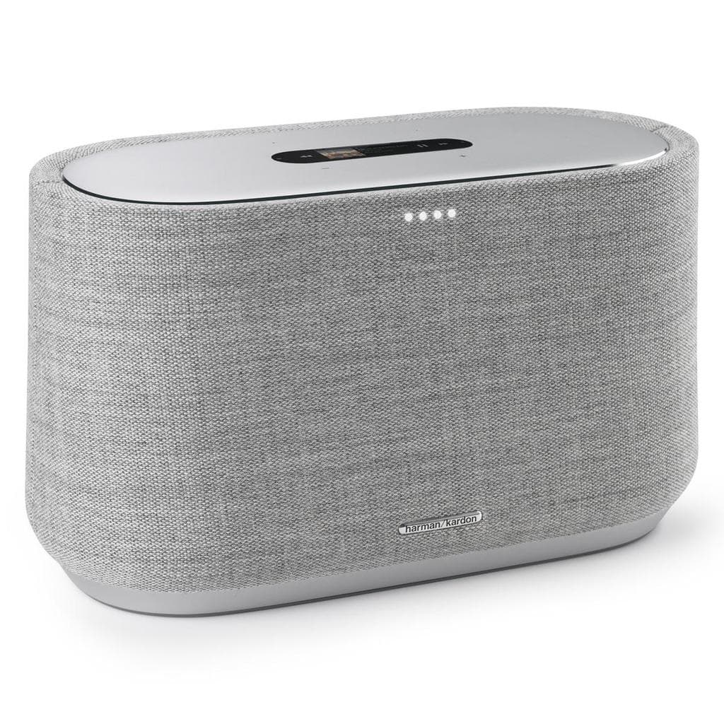 Enceinte Bluetooth Harman Kardon Citation 300 - Gris