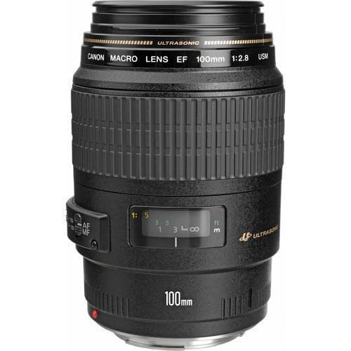 Objectif Canon EF 100mm f/2.8 Macro USM EF 100mm f/2.8