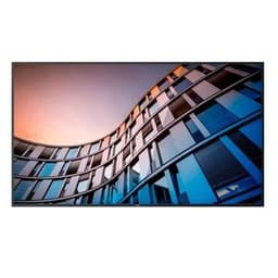 Écran 65" LED Philips 65BFL2114/12