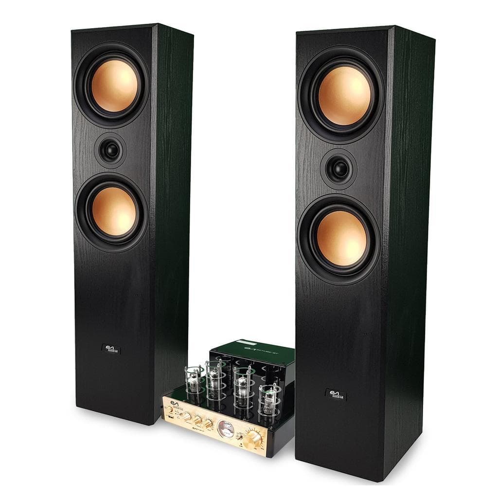 Enceinte Bluetooth Evidence Acoustics EA800-PG - Noir