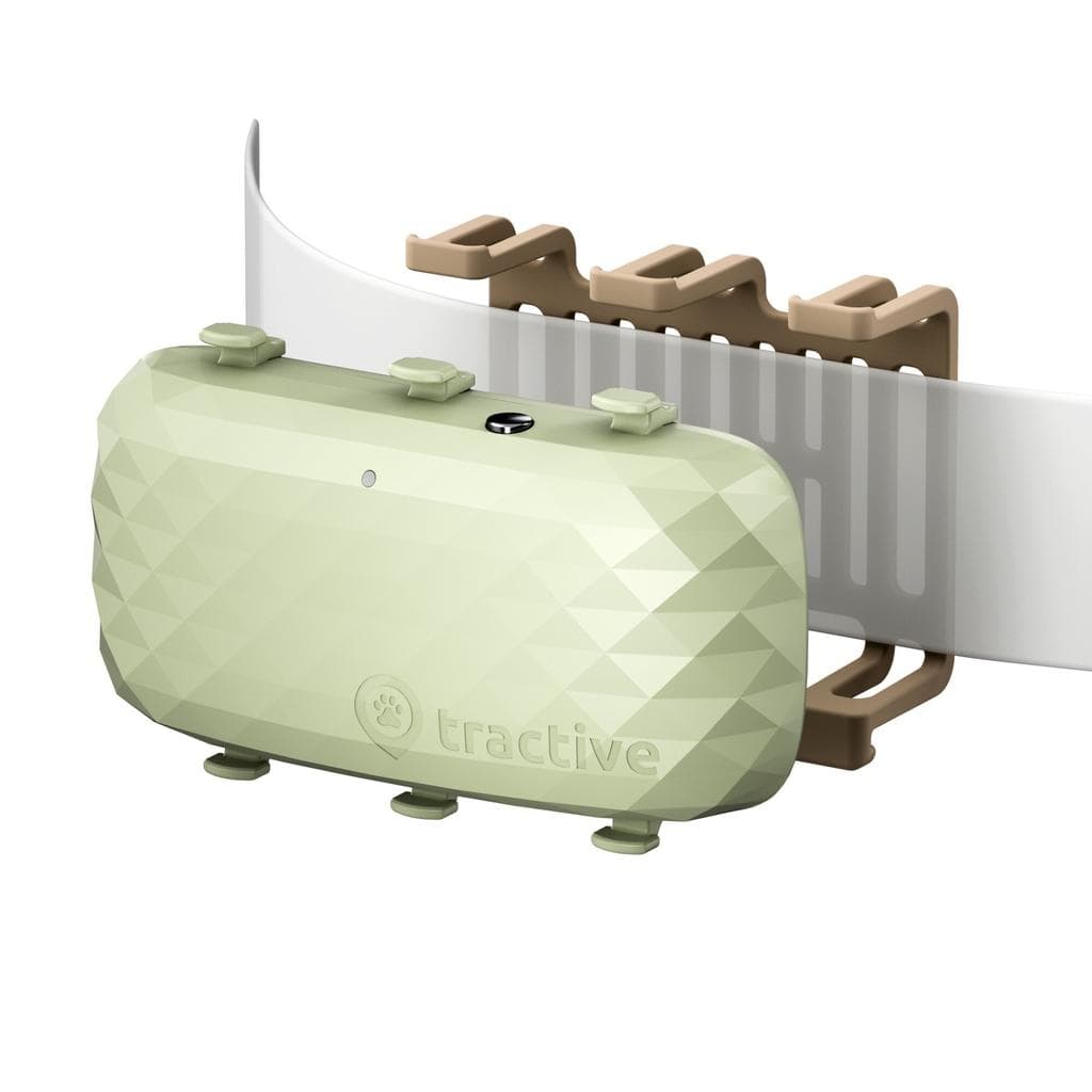 GPS Tractive TRDOG4XLGR