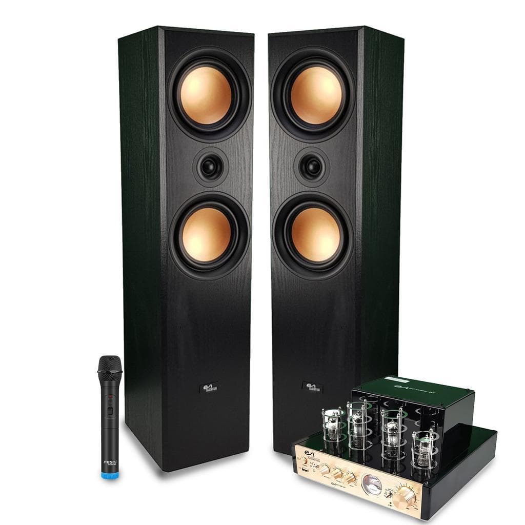 Enceinte Bluetooth Evidence Acoustics EA800-PG - Noir