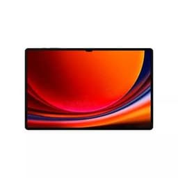 Galaxy Tab S9+ 256GB - Gris - WiFi
