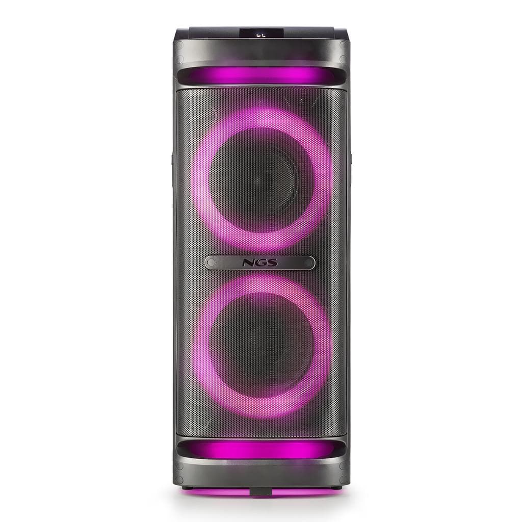 Enceintes sono Ngs WILDSPACE2