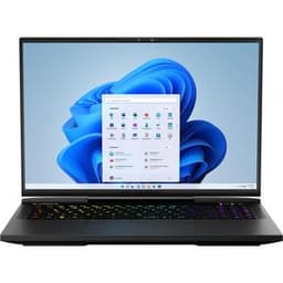 Medion Erazer Beast X40 17" Core i9 2.2 GHz - SSD 1 TB - 32 Go - NVIDIA GeForce RTX 4090 QWERTZ - Allemand