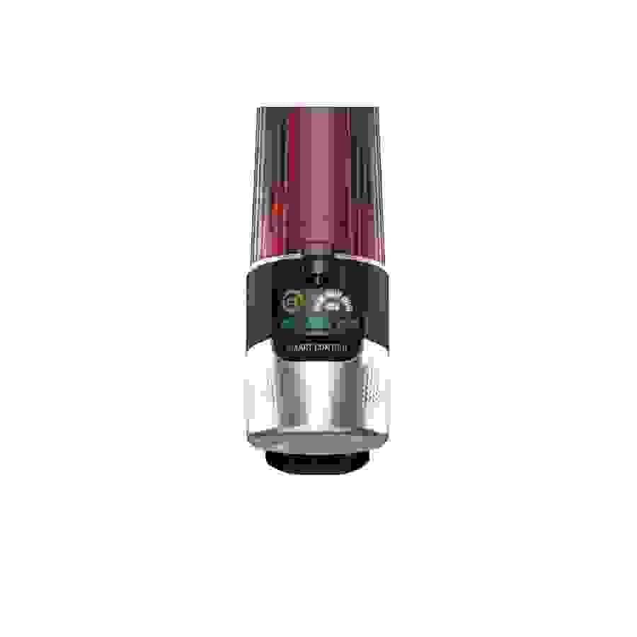Aspirateur balai sans fil Rowenta RH2079WOR