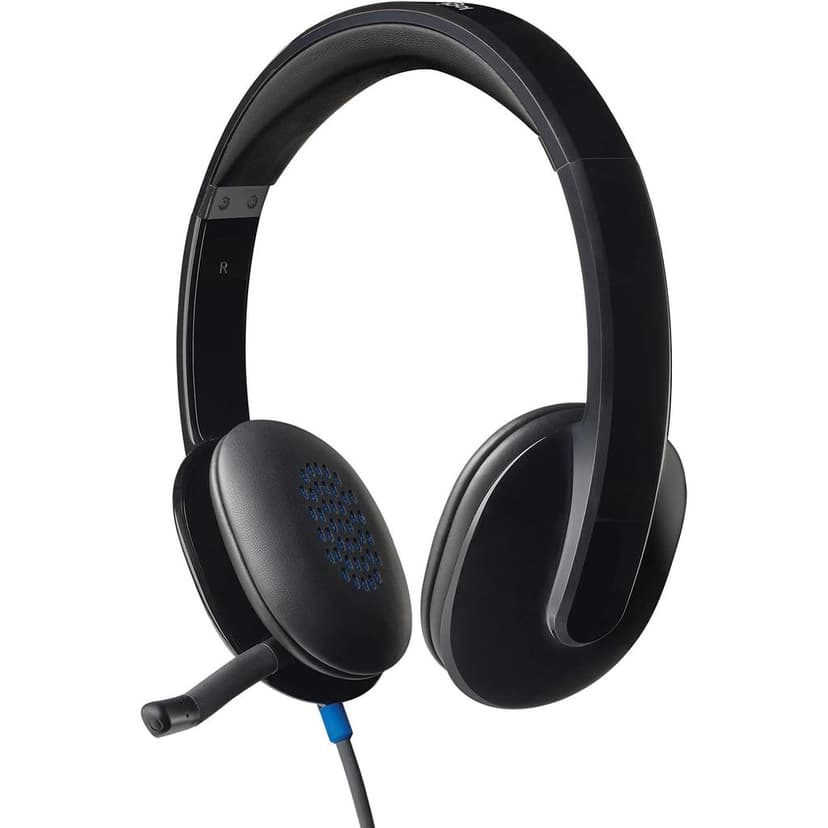 Logitech H540