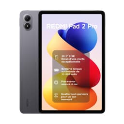 Xiaomi Redmi Pad 2 Pro 128GB - Gris - WiFi