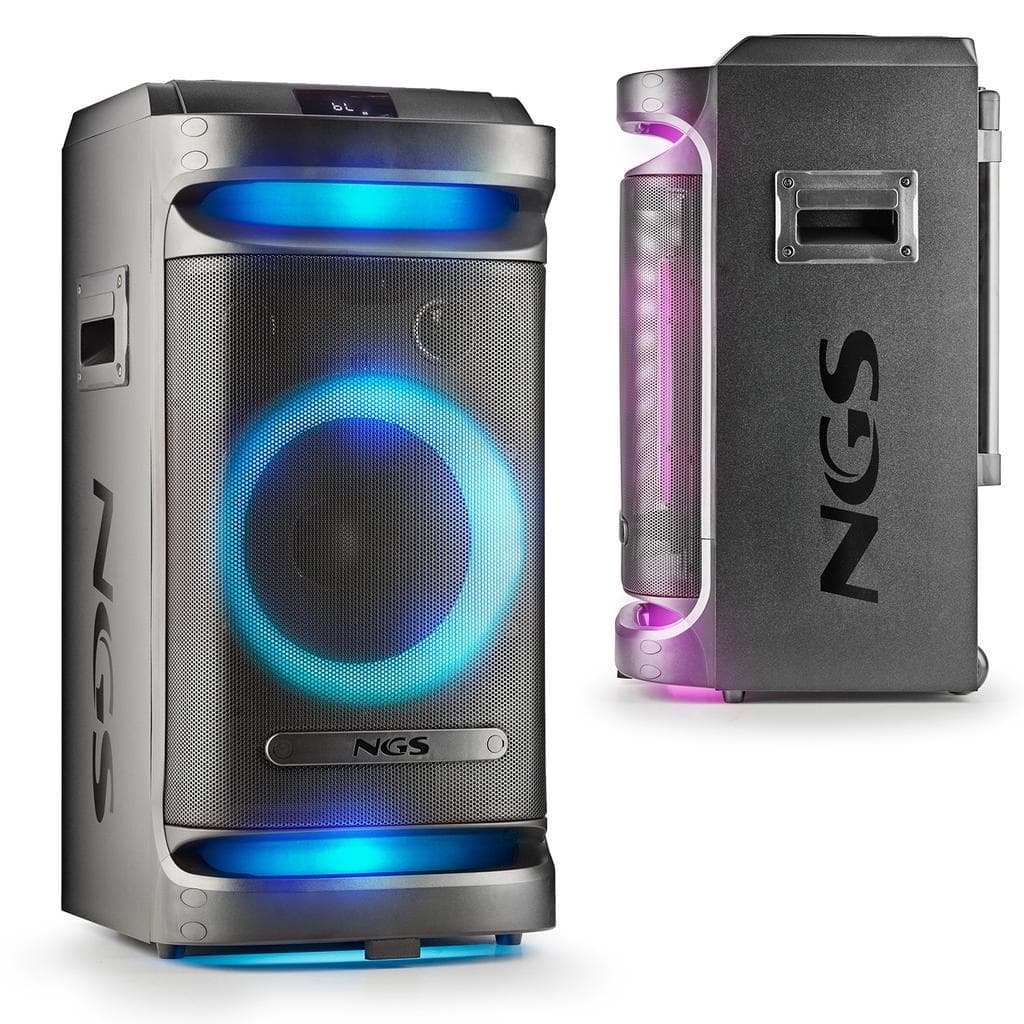 Enceintes sono Ngs WILDSPACE1