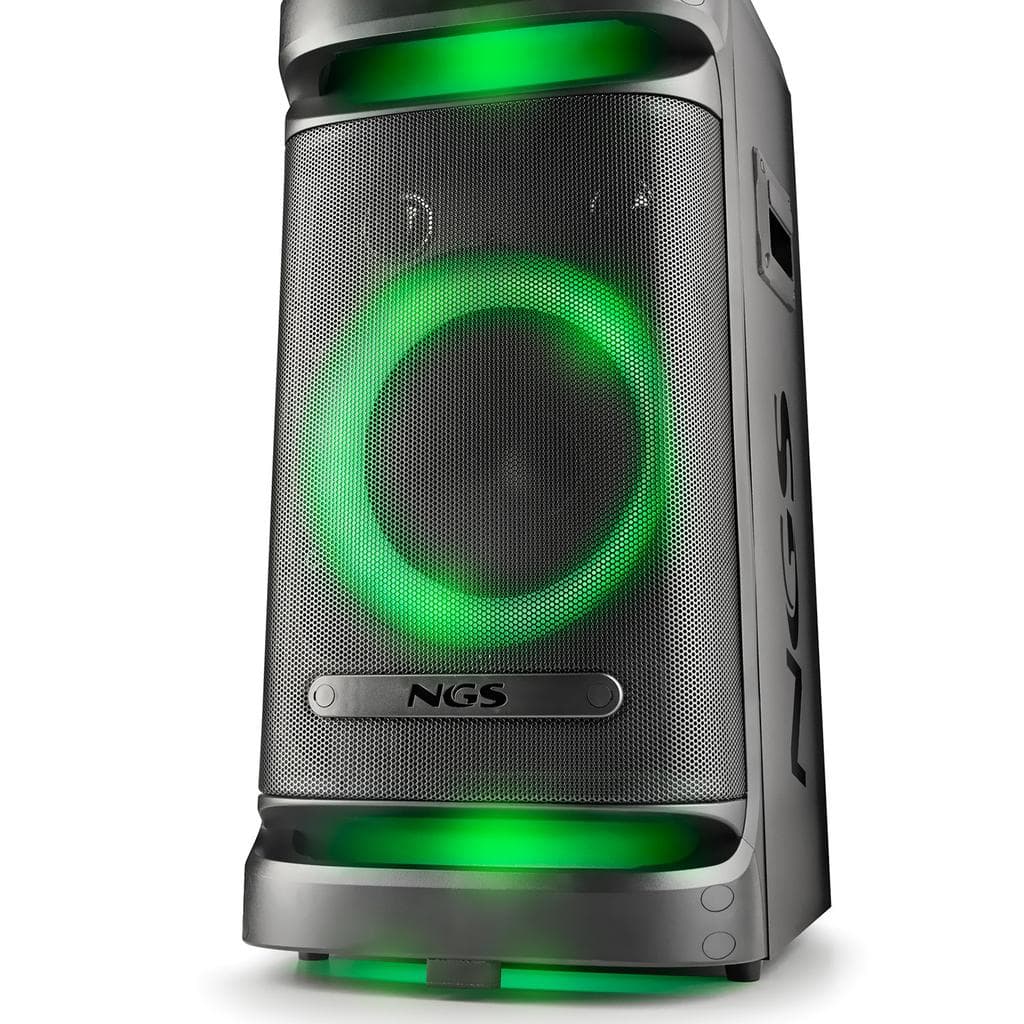 Enceintes sono Ngs WILDSPACE1