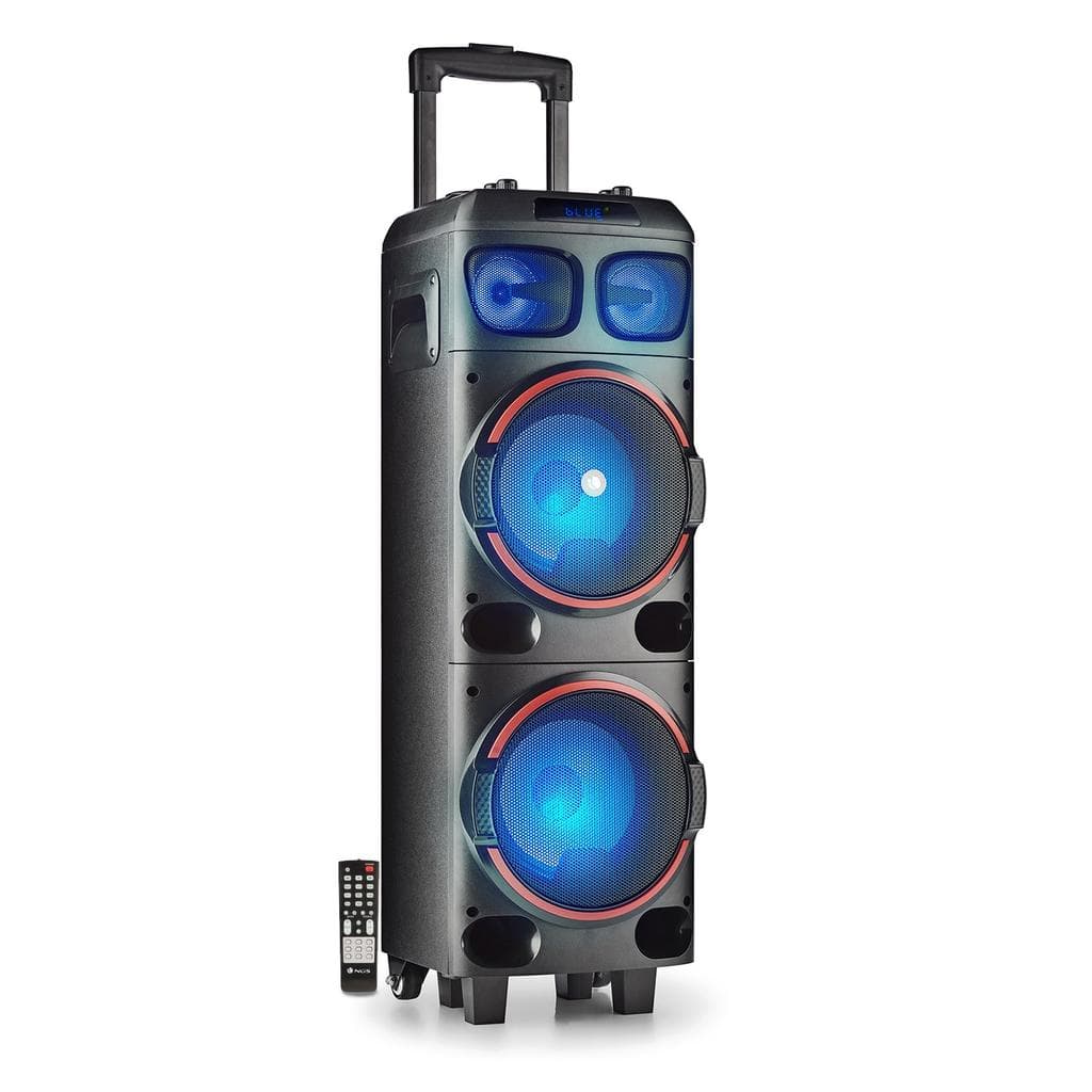 Enceintes sono Ngs Wild Dub 1