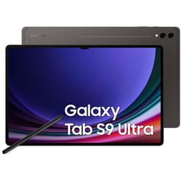 Galaxy Tab S9 Ultra 256GB - Gris - WiFi