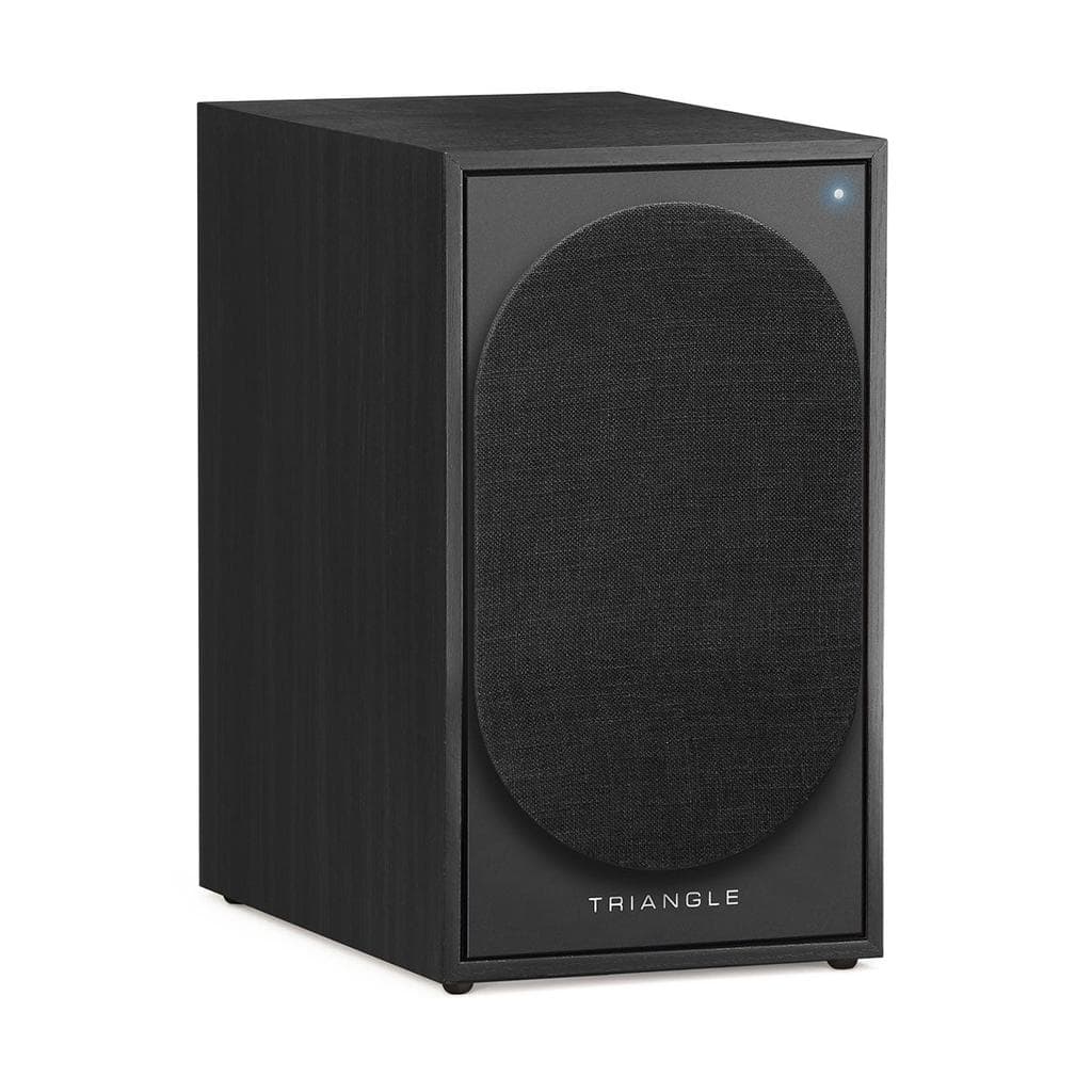 Enceinte Triangle Borea BR02 - Noir
