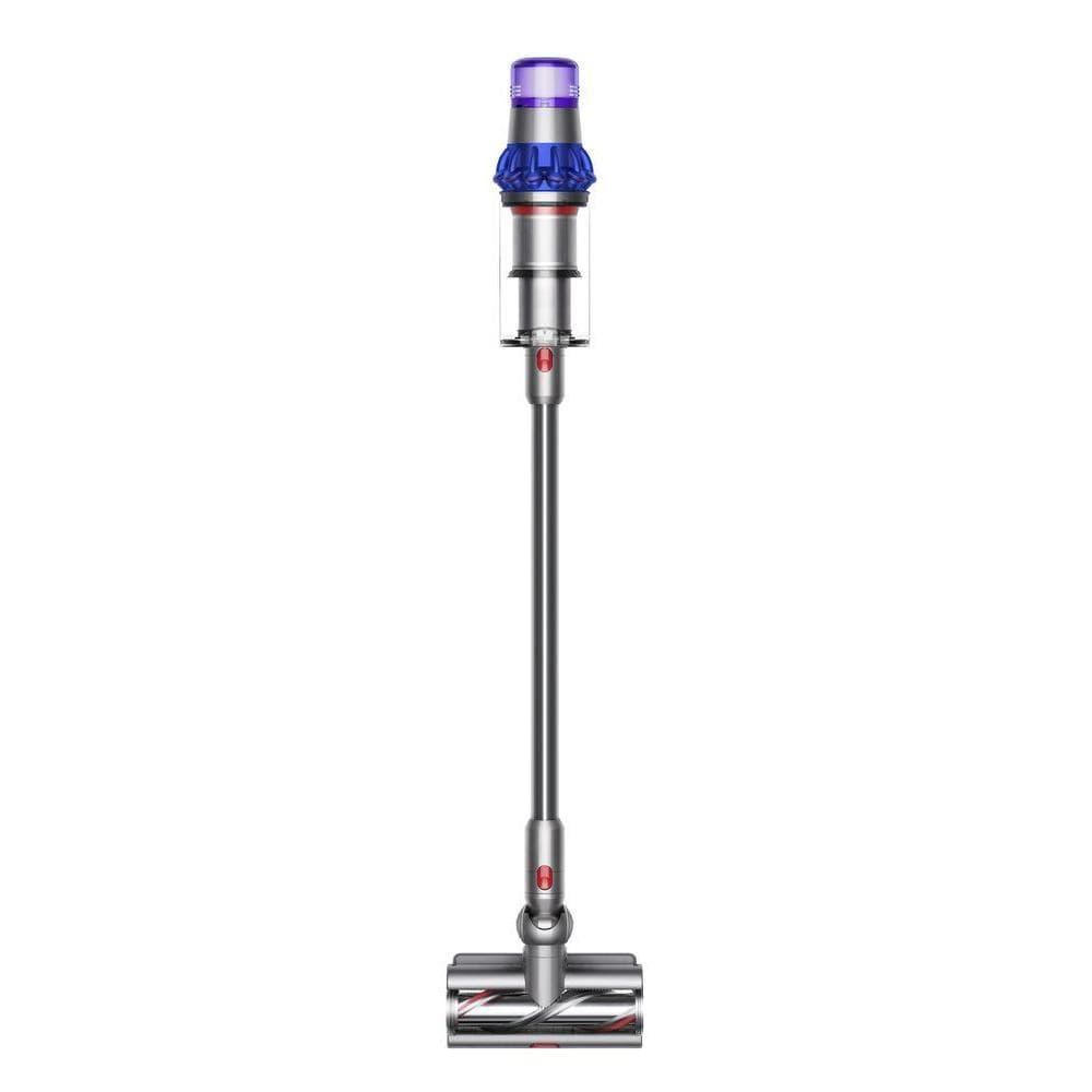 Dyson Dyson V15 Detect Fluffy - Argenté
