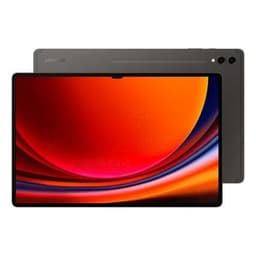 Galaxy Tab S9 Ultra 1000GB - Gris - WiFi + 5G