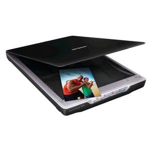 Scanner Epson Perfection V19