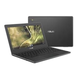 Asus ChromeBook C204MA Celeron N4000 1.1 GHz 32Go eMMC - 4Go QWERTY - Anglais