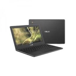 Asus ChromeBook C204MA Celeron N4020 1.1 GHz 32Go eMMC - 4Go AZERTY - Français