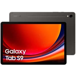 Galaxy Tab S9 256GB - Gris - WiFi