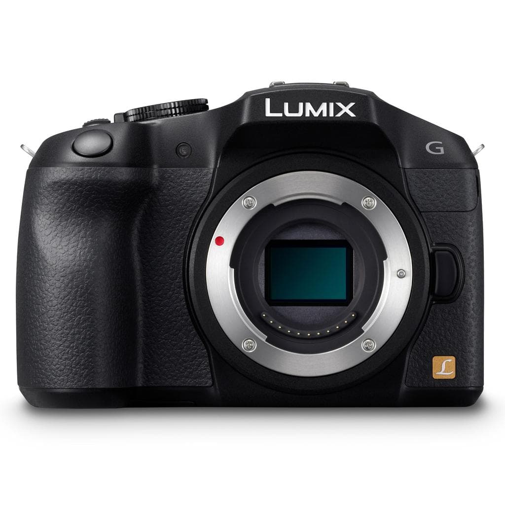 Reflex - Panasonic Lumix DMC-G6 - Noir + Objectif Panasonic Lumix G Vario 4-42mm f/3.5-5.6 lens + Panasonic Lumix G Vario 45-150mm f/4.0-5.6 ASPH.
