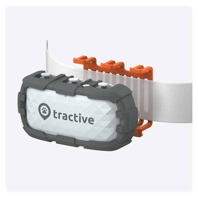 GPS Tractive GPS DOG XL