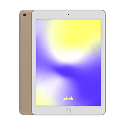 iPad 9.7" (2017) (5.gen) - 128 GB - Gul - 4G - Grade C