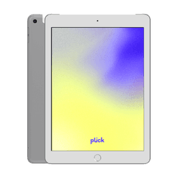iPad 9.7" (2017) (5.gen) - 32 GB - Grå - Wi-Fi - Grade C