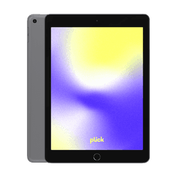 iPad 9.7" (2017) (5.gen) - 128 GB - Grå - 4G - Grade B