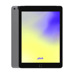 iPad 9.7" (2017) (5.gen) - 32 GB - Grå - Wi-Fi - Grade B