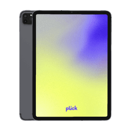 iPad Pro 11" (2020) (2.gen) - 256 GB - Grå - 4G - Grade C