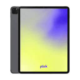 iPad Pro 12.9" (2020) (4.gen) - 256 GB - Grå - 4G - Grade B