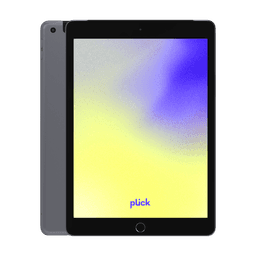 iPad 10.2" (2019) (7.gen) - 32 GB - Grå - 4G - Grade B