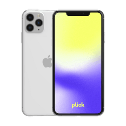 iPhone 11 Pro Max - 64 GB - Grå - Grade C