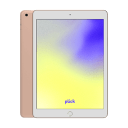 iPad 10.2" (2020) (8.gen) - 32 GB - Gul - Wi-Fi - Grade C