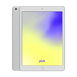 iPad 10.2" (2020) (8.gen) - 128 GB - Grå - Wi-Fi - Grade C