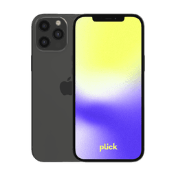 iPhone 12 Pro Max - 128 GB - Grå - Grade C