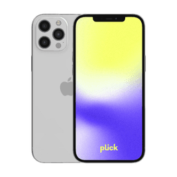 iPhone 12 Pro Max - 128 GB - Grå - Grade B