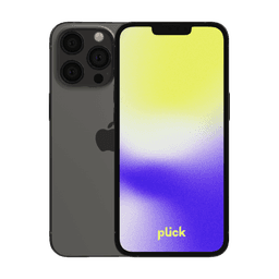 iPhone 13 Pro - 256 GB - Grå - Grade B