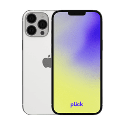 iPhone 13 Pro Max - 128 GB - Grå - Grade C