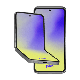 Galaxy Z Flip 6 - 256 GB - Grå - Grade B