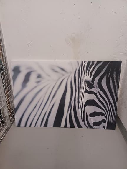 Super fin Zebra tavla i nyskick