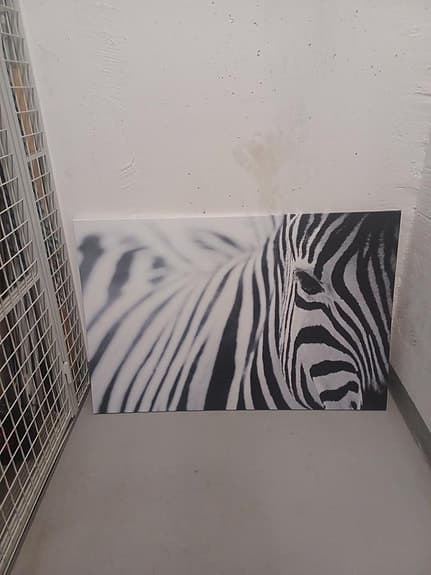 Super fin Zebra tavla i nyskick