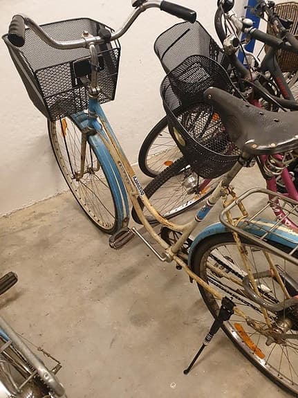 Cykel damtralla