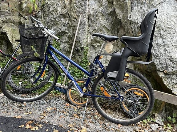 DBS damcykel