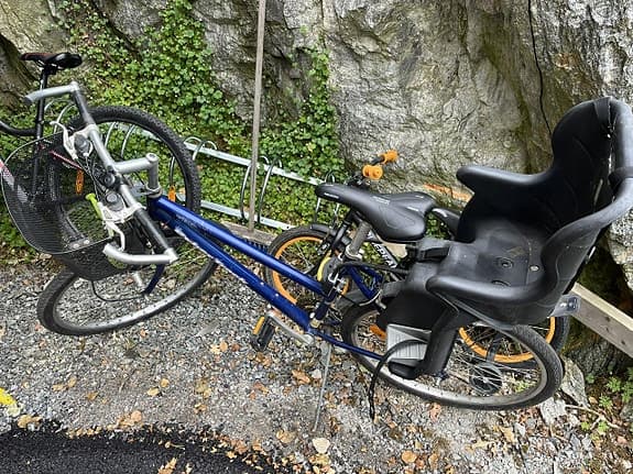 DBS damcykel